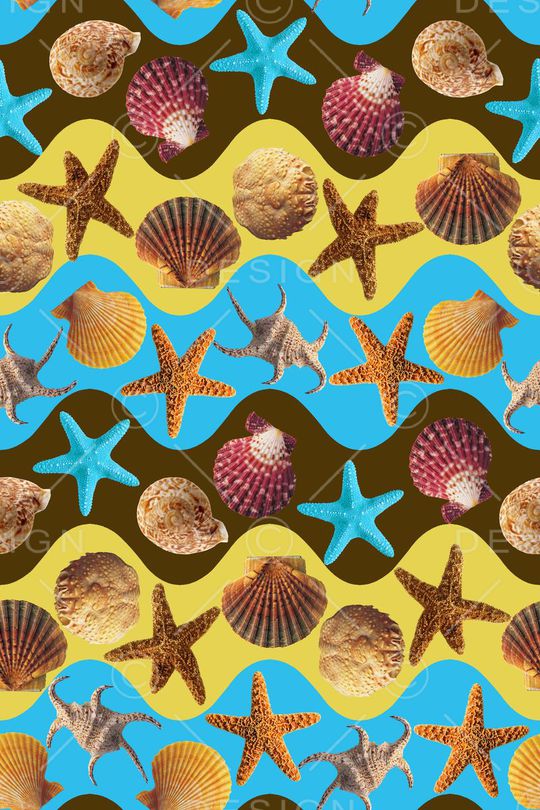 贝壳印花华亿平台图片