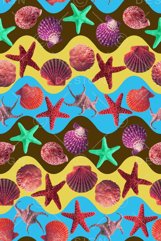 贝壳印花华亿平台图片