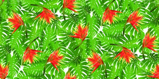 棕榈叶印花华亿平台图片