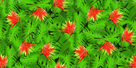 棕榈叶印花华亿平台图片