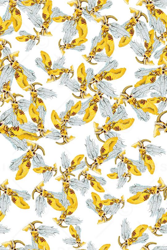 小动物印花华亿平台图片