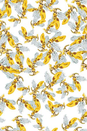 小动物印花华亿平台图片