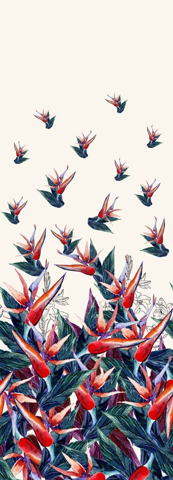 渐变印花华亿平台图片