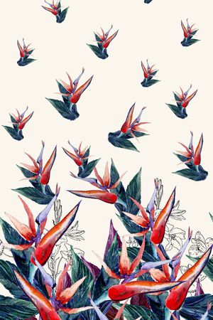 渐变印花华亿平台图片