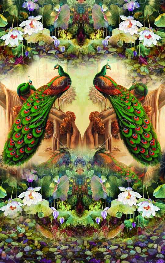 孔雀印花华亿平台图片