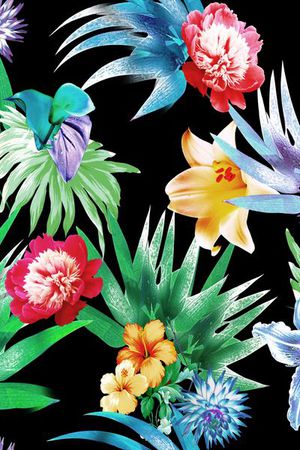 热带印花华亿平台图片