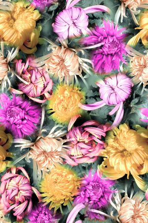 写实印花华亿平台图片