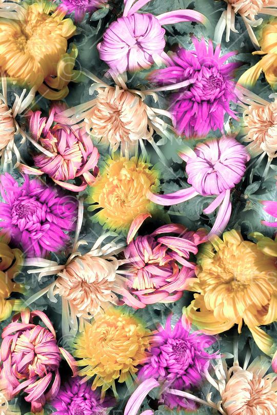 写实印花华亿平台图片