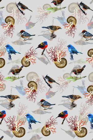 贝壳印花华亿平台图片