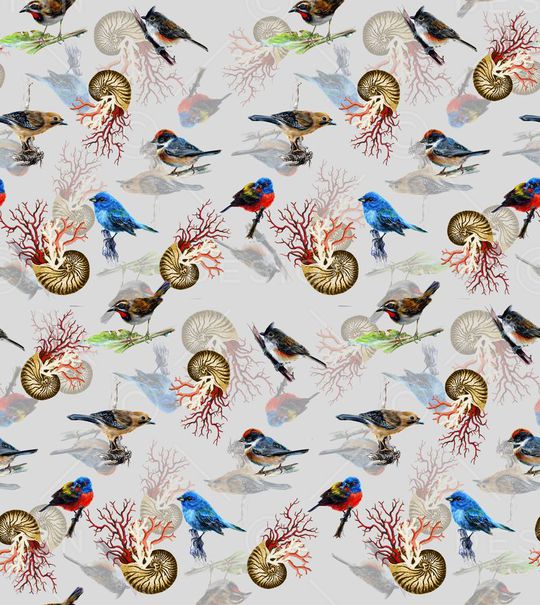 贝壳印花华亿平台图片