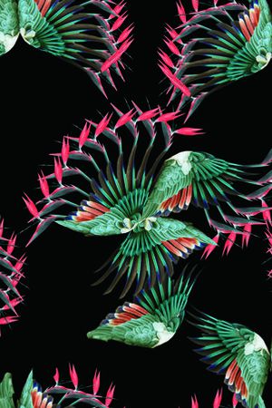 翅膀印花华亿平台图片