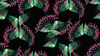 462317-翅膀与天堂鸟花朵