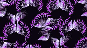 462318-翅膀与天堂鸟花朵