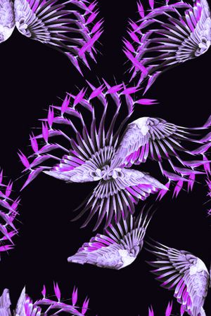 翅膀印花华亿平台图片