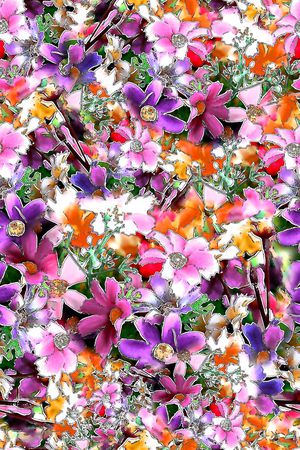 花朵印花华亿平台图片