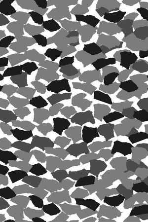 迷彩印花华亿平台图片