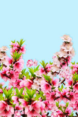 鲜花印花华亿平台图片