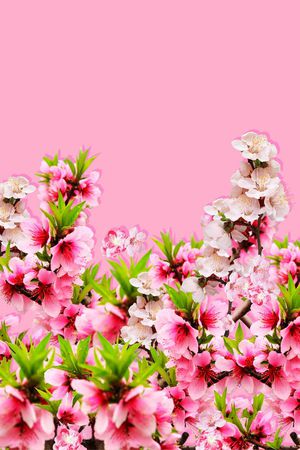 鲜花印花华亿平台图片