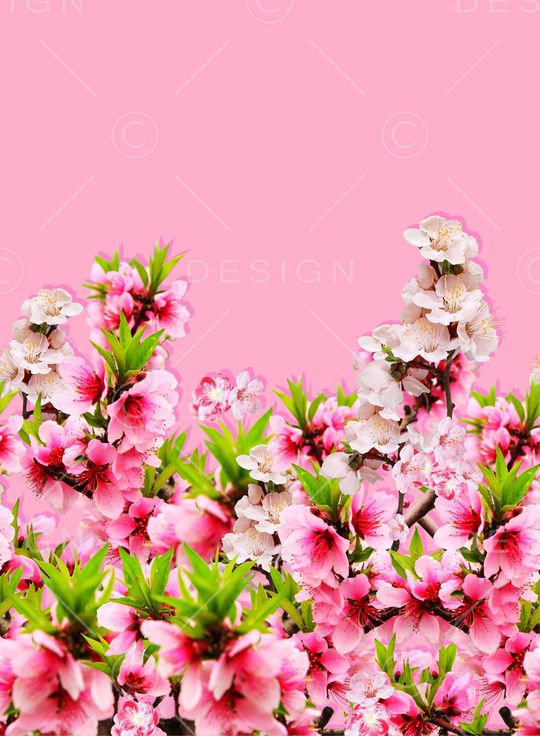 鲜花印花华亿平台图片