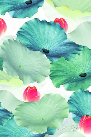 风印花华亿平台图片