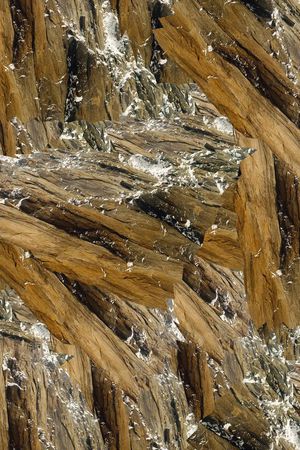 复古印花华亿平台图片