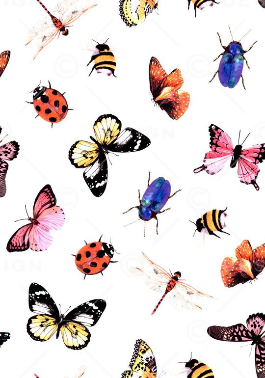 数码印花印花华亿平台图片