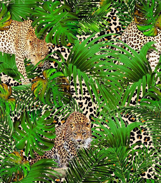 热带雨林印花华亿平台图片