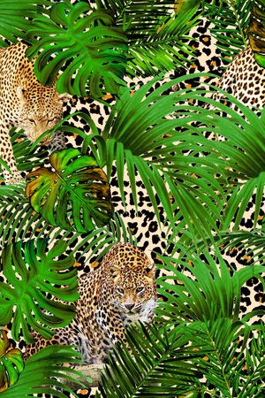 热带雨林印花华亿平台图片