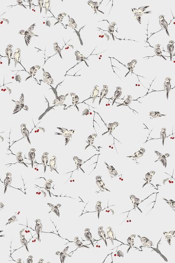 462864-中国雀鸟系列印花设计