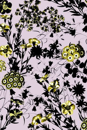 2016 早春度假印花华亿平台图片