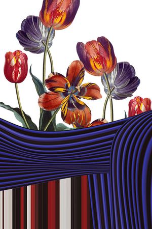 Mary Katrantzou印花华亿平台图片