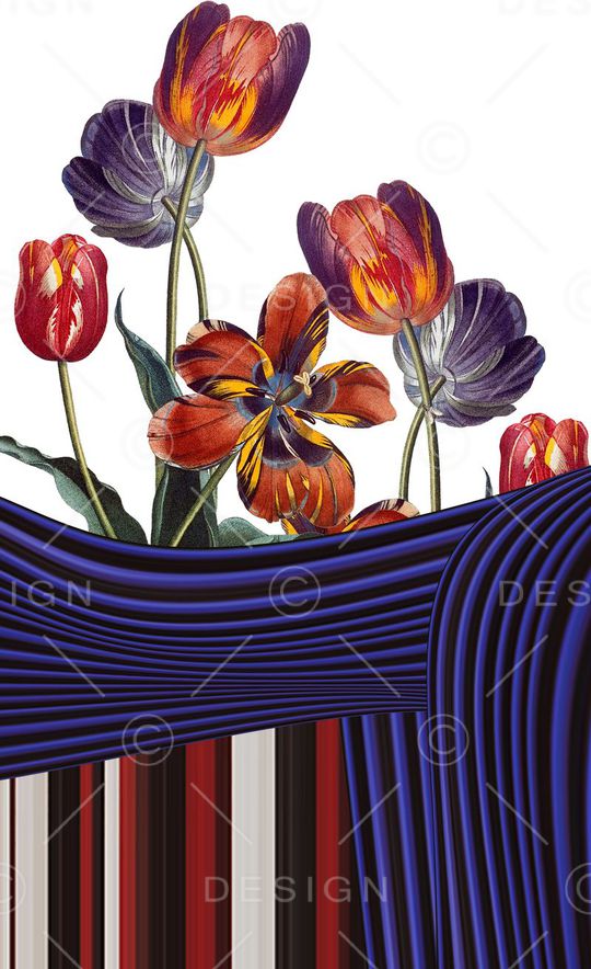 Mary Katrantzou印花华亿平台图片