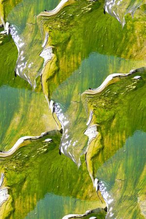 潮流印花华亿平台图片