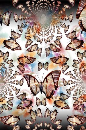 蝴蝶印花华亿平台图片