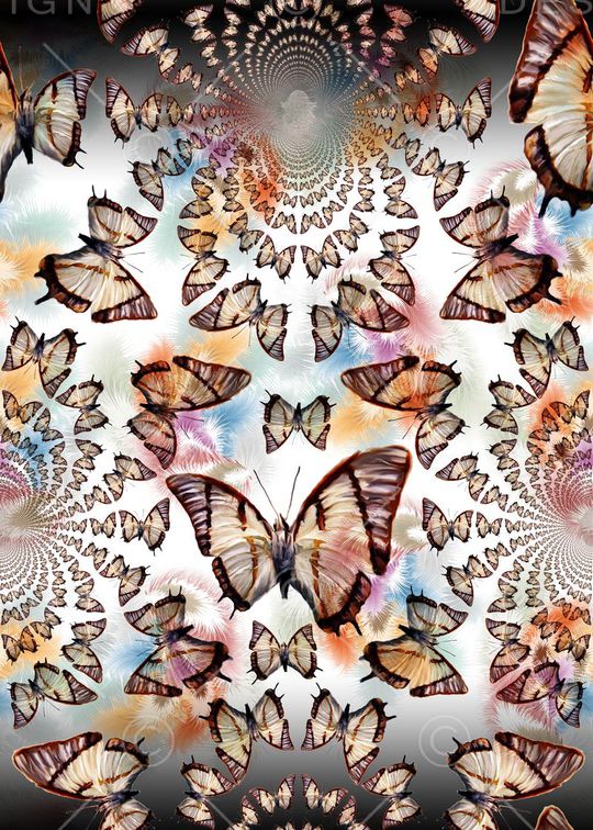 蝴蝶印花华亿平台图片