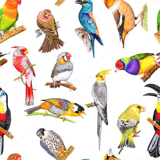 时尚印花华亿平台图片