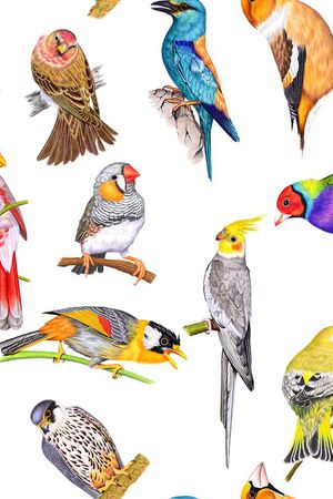 时尚印花华亿平台图片