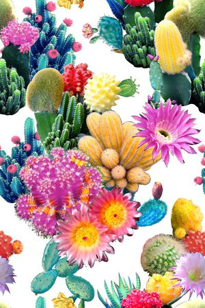 沙漠风印花华亿平台图片