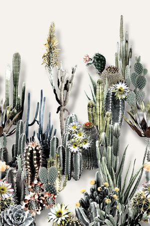 沙漠风印花华亿平台图片