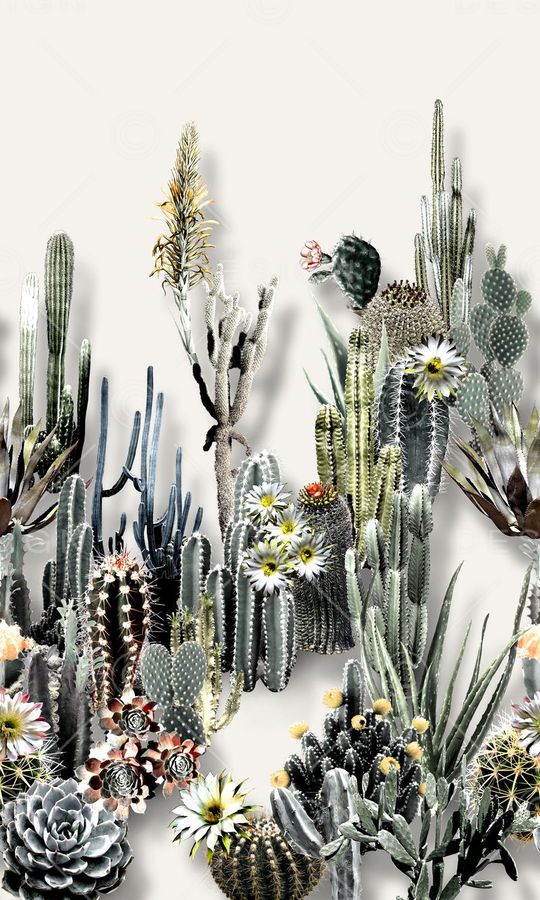 沙漠风印花华亿平台图片