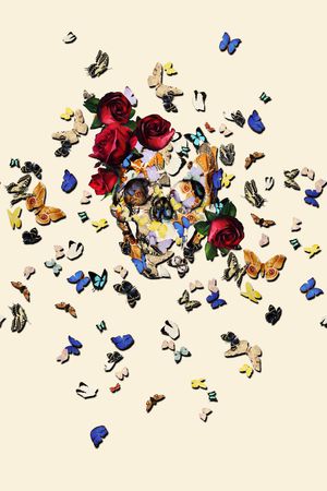 蝴蝶印花华亿平台图片