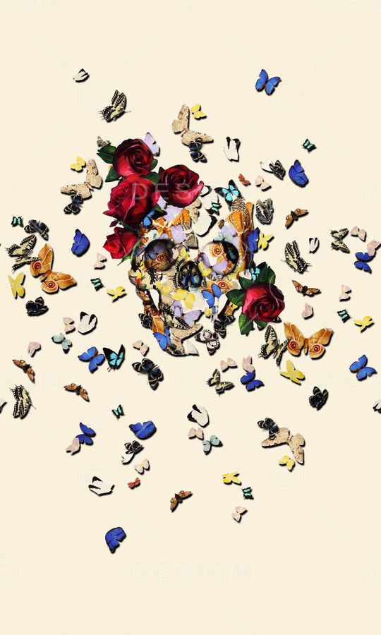 蝴蝶印花华亿平台图片