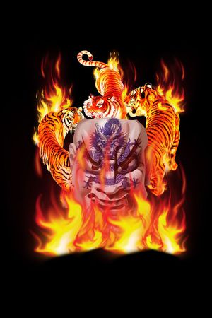 时尚定位印花华亿平台图片