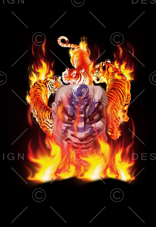 时尚定位印花华亿平台图片