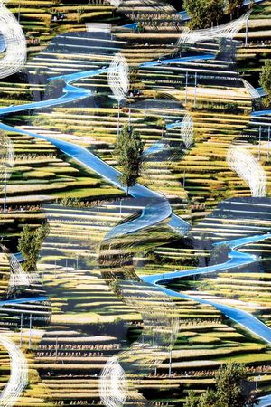 潮流印花华亿平台图片