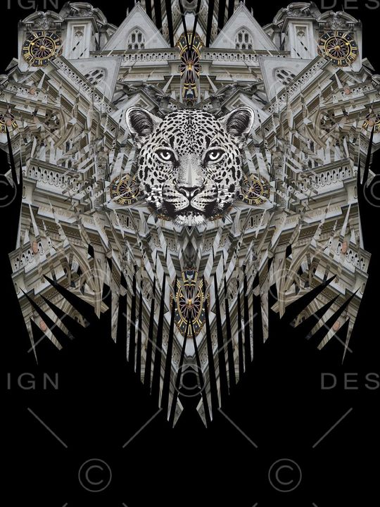 豹子印花华亿平台图片