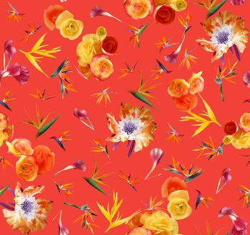 463708-时尚潮流靓丽天堂鸟花卉