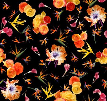 463710-时尚潮流靓丽天堂鸟花卉