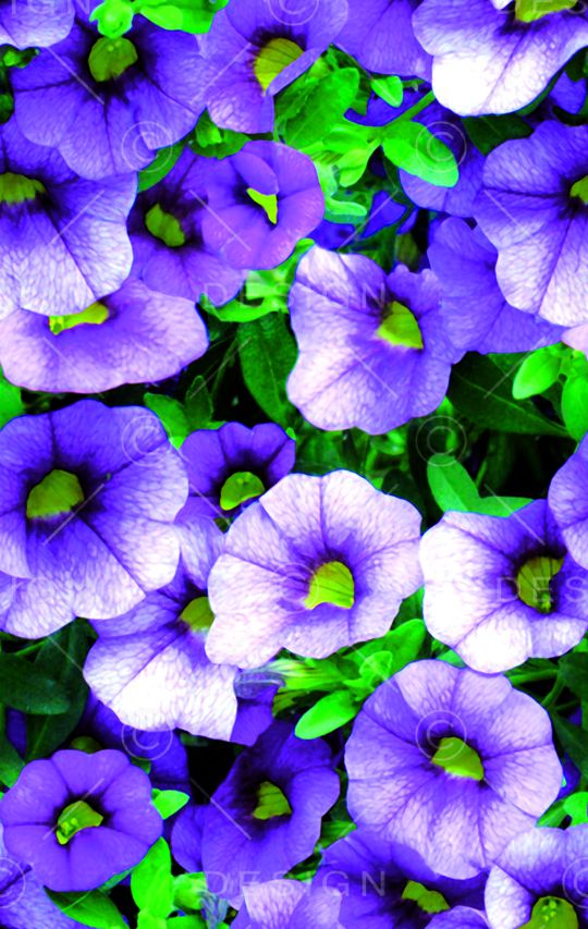 现代印花华亿平台图片