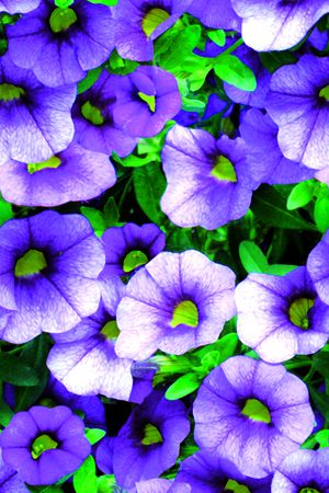 现代印花华亿平台图片